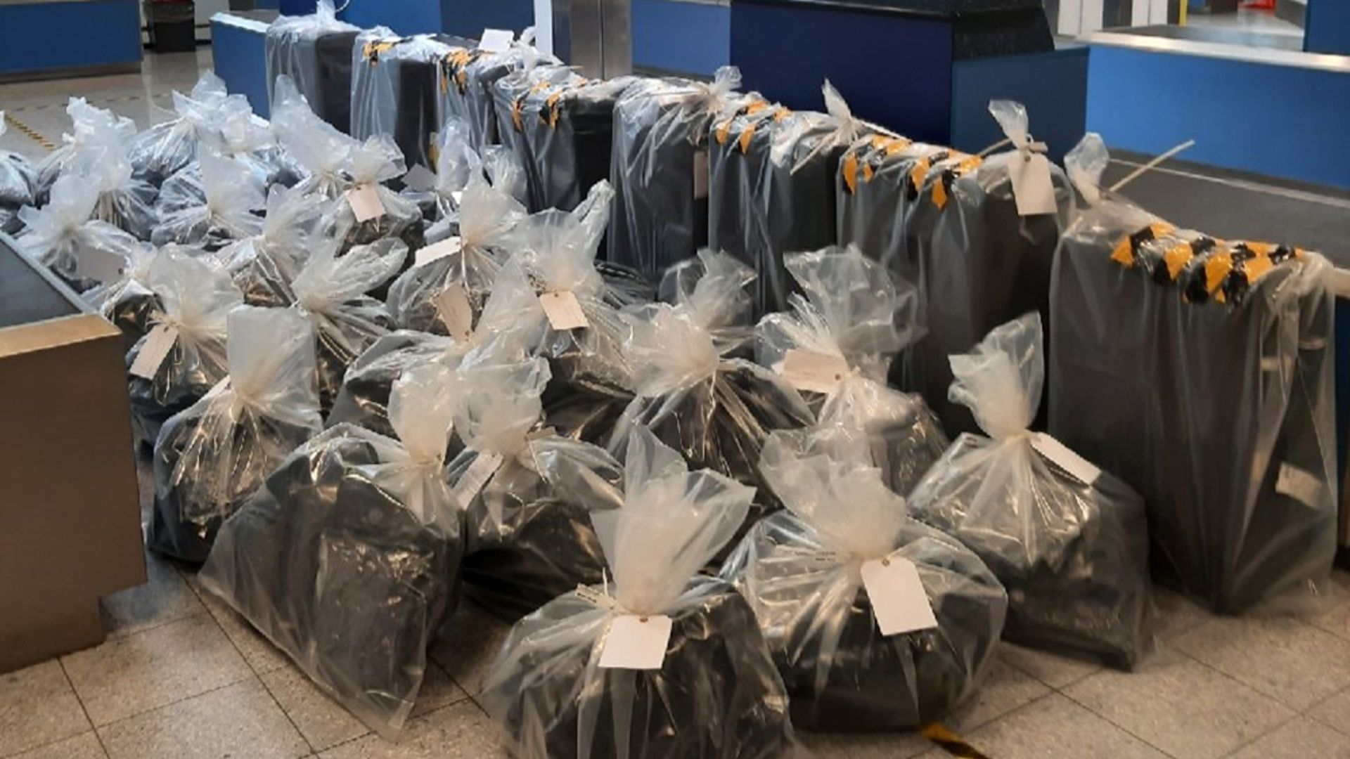 Couriers walk through customs with cases full of cannabis after being duped by traffickers