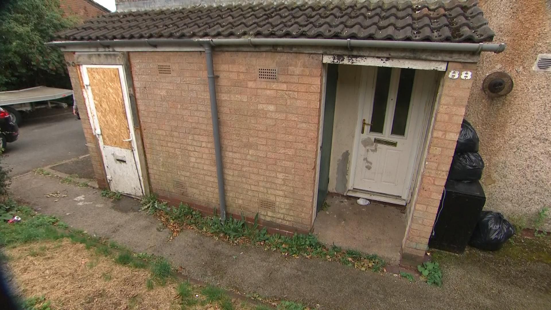 Two dogs seized after man found dead in back garden