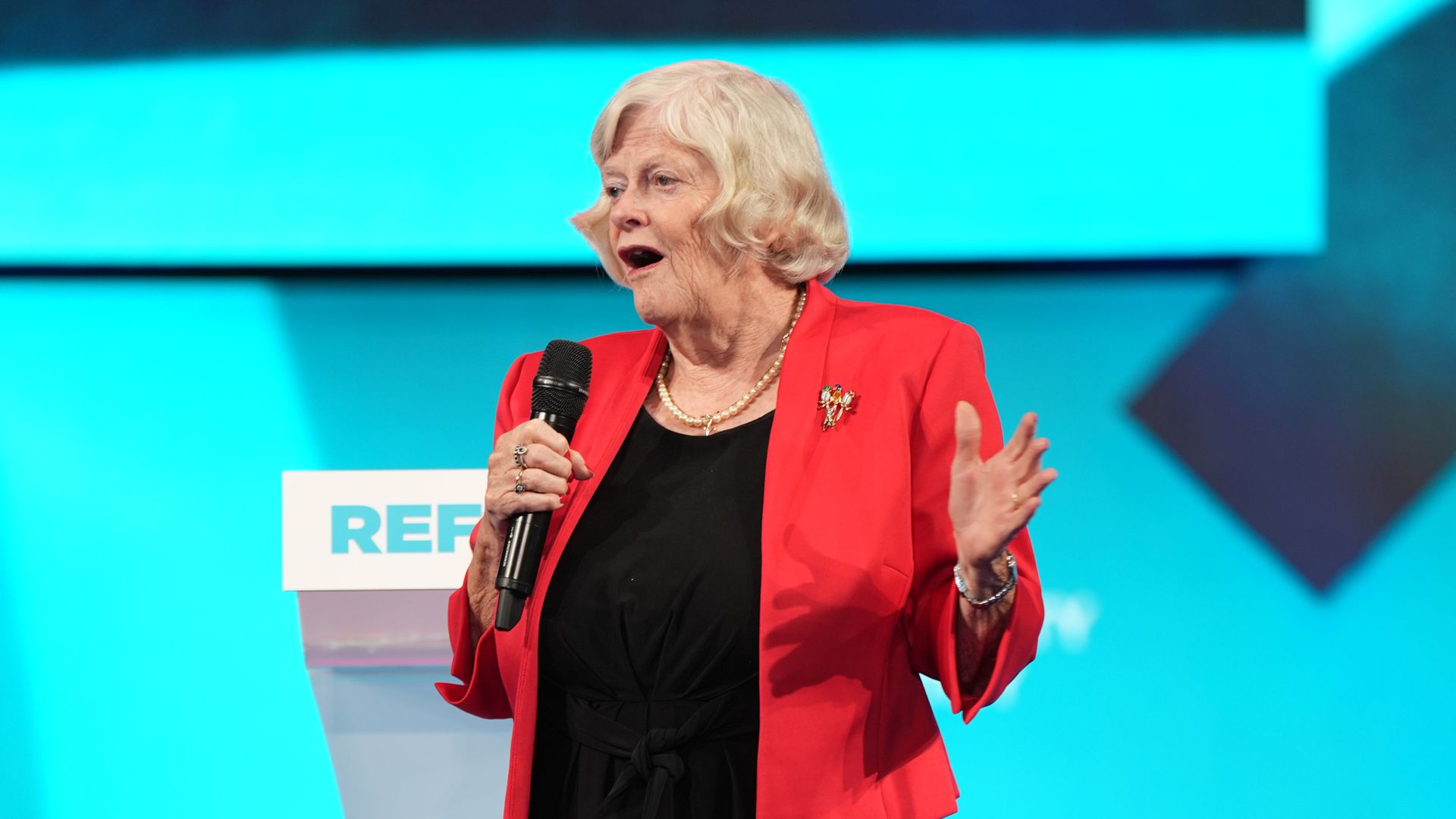 Ann Widdecombe says Reform would put migrants in ‘secure reception centres’