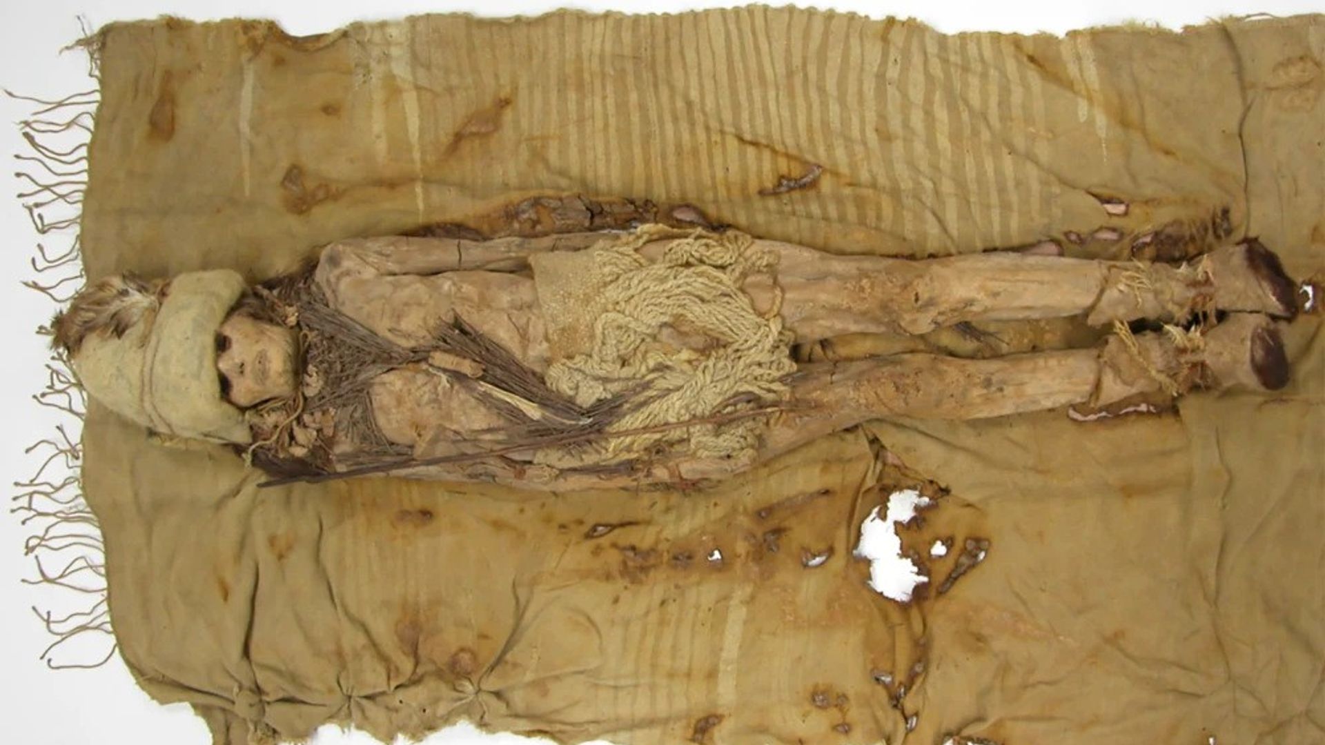 World’s oldest cheese found on Chinese mummy