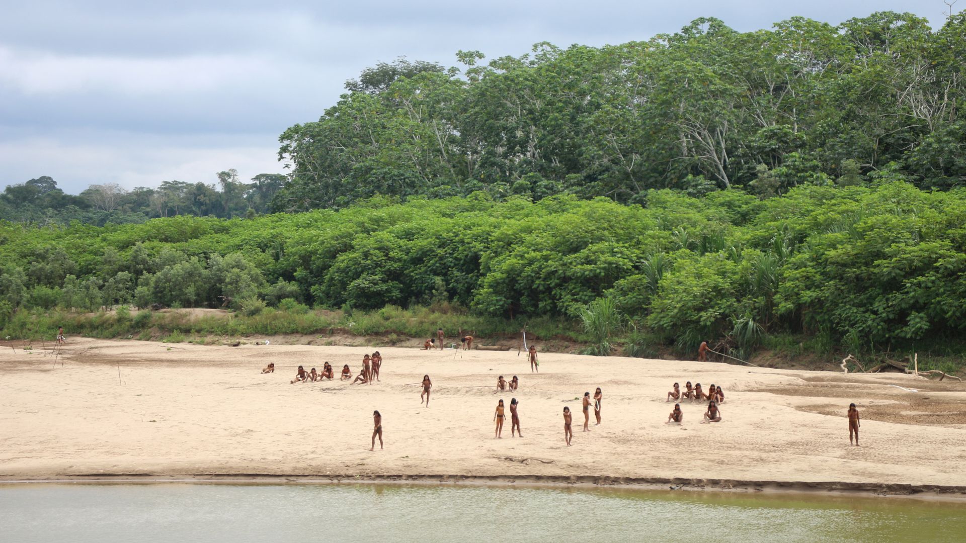 Two loggers killed in bow and arrow attack after ‘encroaching on land of uncontacted tribe’