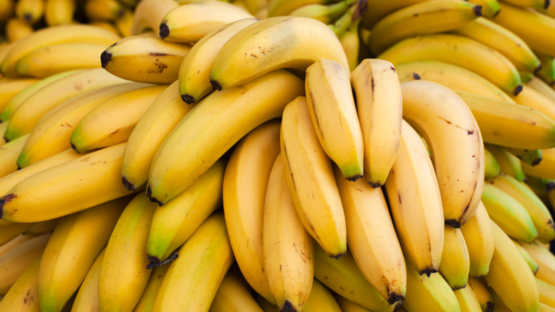 Minister’s staff insist on banana-free rooms due to ‘weirdest phobia’