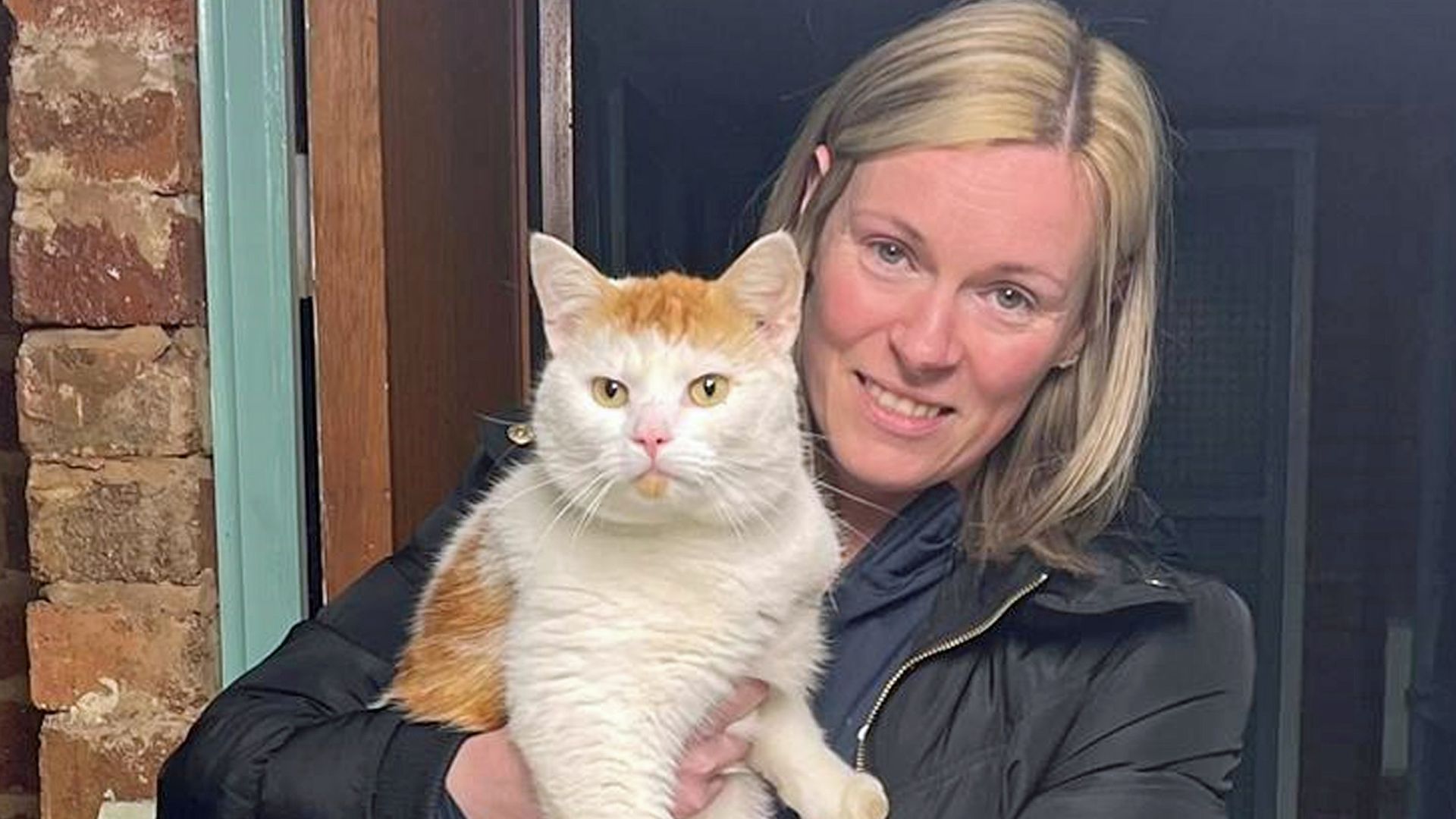 Missing cat found after 300-mile journey to Coventry