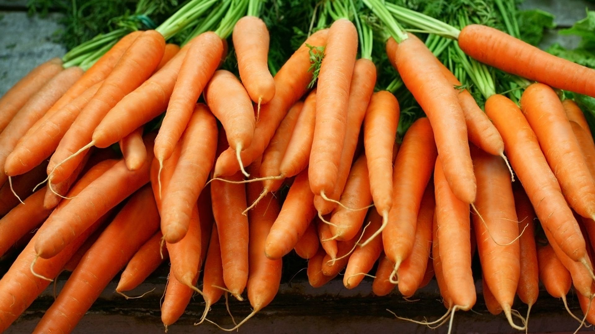 One person dead and dozens ill after eating contaminated carrots